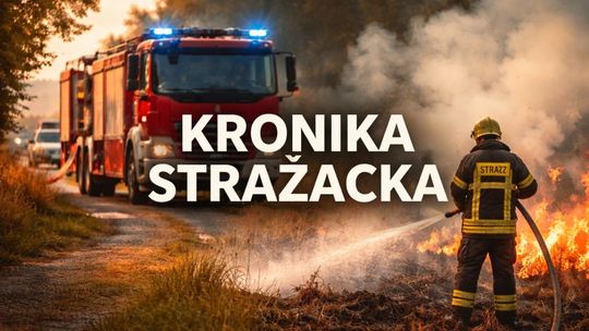 27 zdarzeń w powiecie tczewskim. Tragiczny wypadek w Ciepłem, interwencje w Tczewie