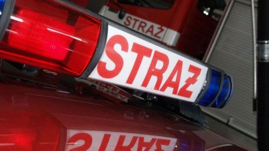 Groźny wypadek. Samochód osobowy uderzył w drzewo