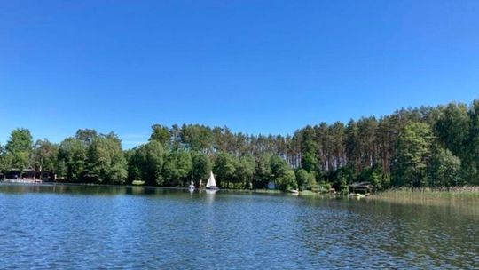 Historia i dziedzictwo Borów Tucholskich – niezwykłe miejsca, które warto odwiedzić