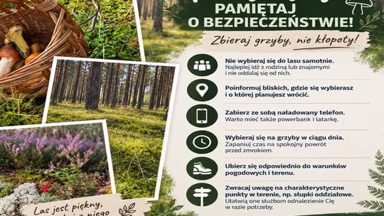 Las potrafi zmylić nawet doświadczonych. Policja przypomina grzybiarzom o bezpieczeństwie