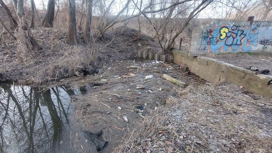 Mieszkańcy posprzątali Kanał Młyński. Społeczna akcja z wsparciem firmy Oiler S.A.