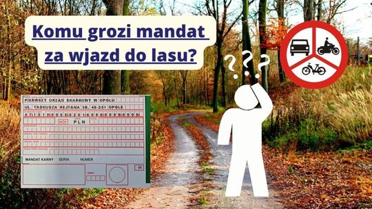 Zakaz wjazdu do lasu – przypomnienie o przepisach i apel o ochronę natury