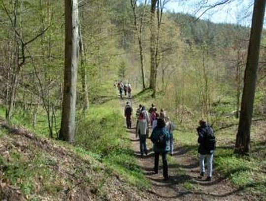 10 000 zł dofinansowania na rzecz ochrony lokalnego środowiska