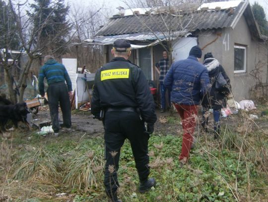 -10 st. C - tymczasem na tczewskich działkach mieszka 21 osób. Wszystkie odmówiły pomocy