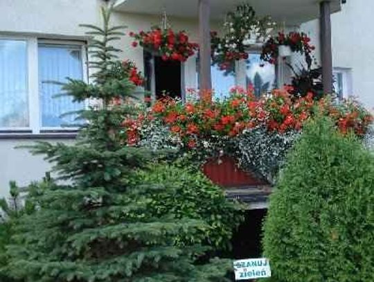 100 tys. do wzięcia w konkursie na najładniejsze otoczenie