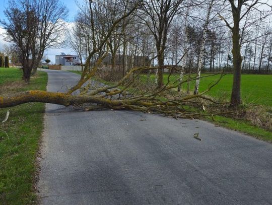 170 interwencji w województwie pomorskim. Niebezpiecznie w powiecie, ale sytuacja pod kontrolą