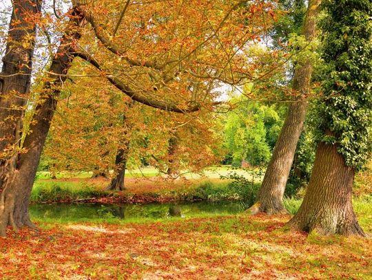 22 września 2025 r. - Ważny dzień w kalendarzu. Początek Astronomicznej Jesieni