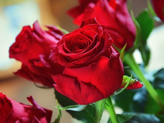 26 maja 2025 r. - Ważny dzień w kalendarzu. Dzień Matki