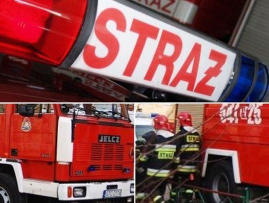 42 zdarzenia związane z burzą. Ostatni tydzień strażacy usuwali mnóstwo skutków nawałnic