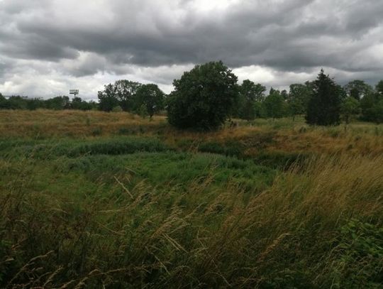 8 ofert na wykonanie sieci kanalizacji deszczowej