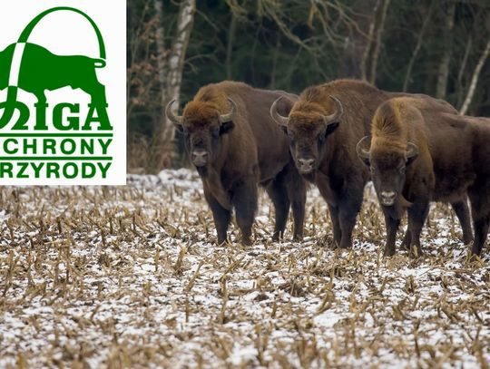 9 stycznia 2026 r. - Ważny dzień w kalendarzu. Dzień Ligi Ochrony Przyrody