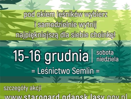 Akcja Nadleśnictwa Starogard pn.: ,,Choinka prosto z lasu” oraz informacja o sprzedaży choinek świerkowych.