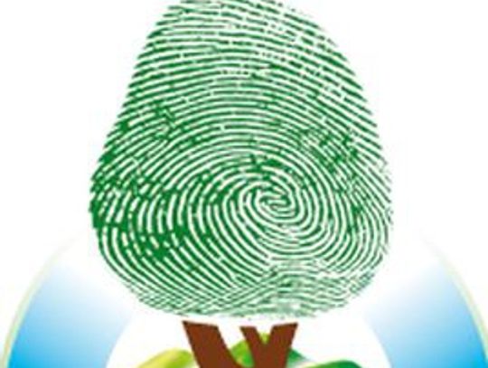 Bądź po stronie natury i wygraj grant na realizację projektu ekologicznego