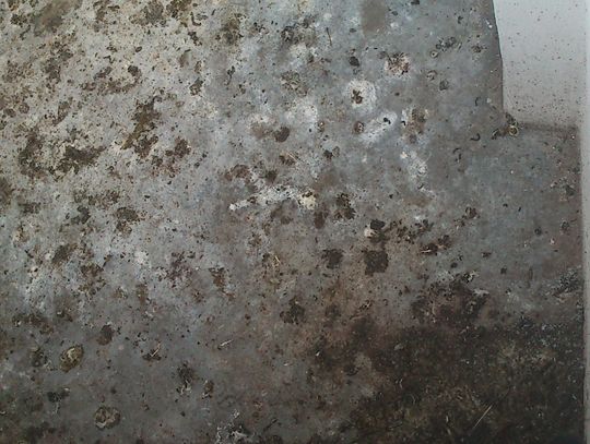 Balkon w gołębich odchodach