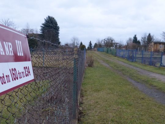 Bezdomni kontra prezes: "Chcemy mieszkać na działkach!"