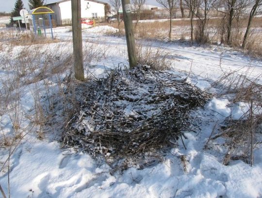 Bociany mogą już wrócić do Śliwin. Boćki i pomyślność