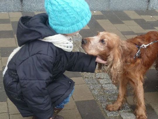 By pokazać świat bez krat