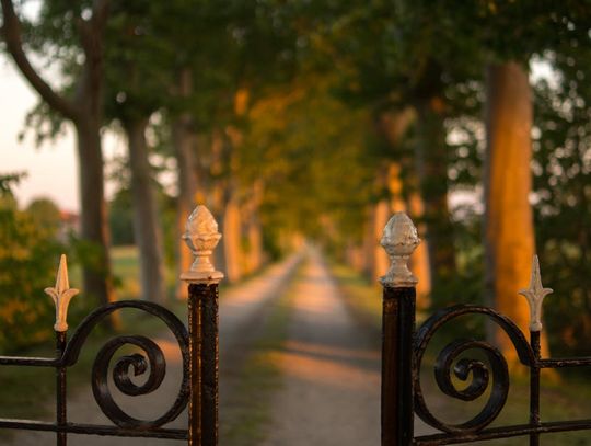 Co warto wiedzieć przed zakupem pilota do bramy?