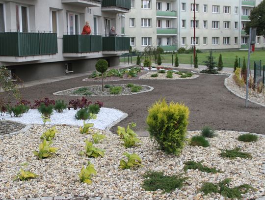 Coraz ładniej na ul. Wyzwolenia – to… Budżet Obywatelski