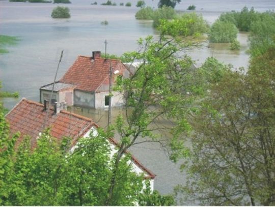 Czyja wina i… woda? Zalewana Nizina Walichnowska