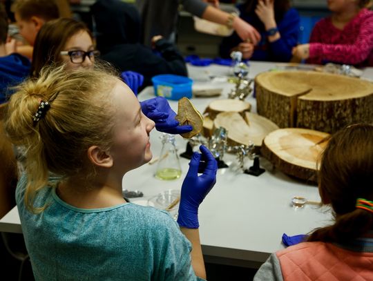 Do otwarcia centrum wraków zostało mniej niż 100 dni!
