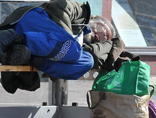 Domagają się schroniska: "Władza tylko mówi, ale nic nie robi"