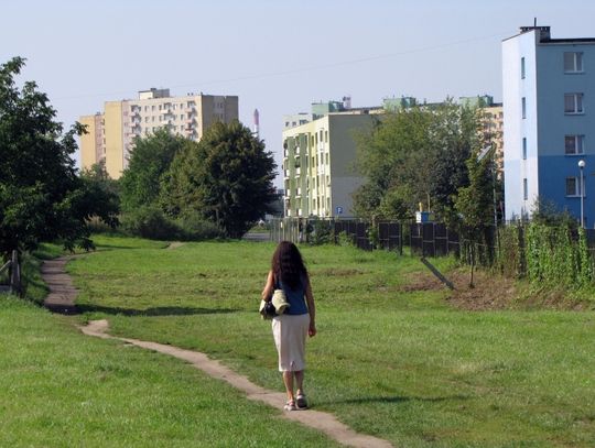 Dotacji na drogi nie będzie. &amp;quot;Schetynówki&amp;quot; nie dla Pomorza