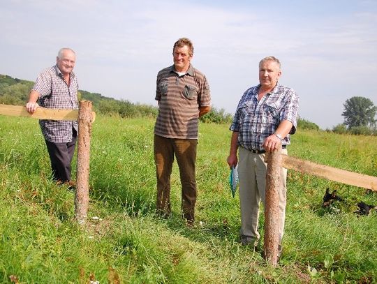  Dzierżawy bez wiedzy rolników. Korzystali z paszy, a nie dopłat