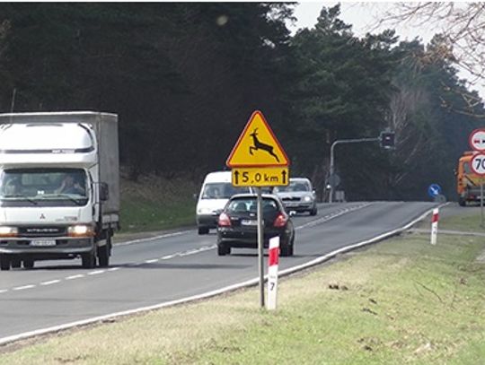 Dzika zwierzyna na "berlince"? Zabezpieczeń nie będzie
