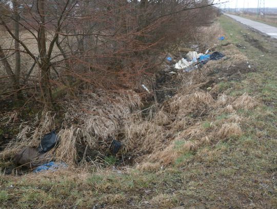 Dzikie wysypisko przy ul. Działkowej posprzątane przez aresztantów