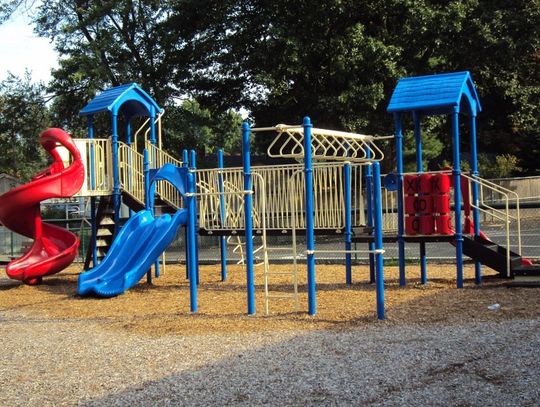 Dziś rusza głosowanie na projekty budżetu obywatelskiego w Tczewie. Jak oddać swój głos? 