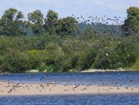 Dziś TVP rozpoczęła zdjęcia do serii filmów m.in. o Wiśle. Odwiedzą nasz powiat