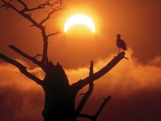 DZISIAJ było zaćmienie Słońca na 30 proc. - kolejne za sto lat!!!