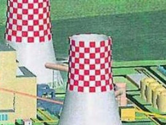 Elektrownia w Rajkowach. Ekolodzy wskazują zagrożenia