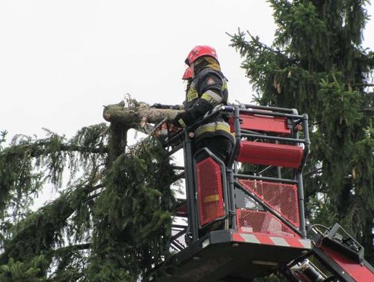 Fatalne prognozy pogody. Dyrektorzy mogą zamknąć szkoły