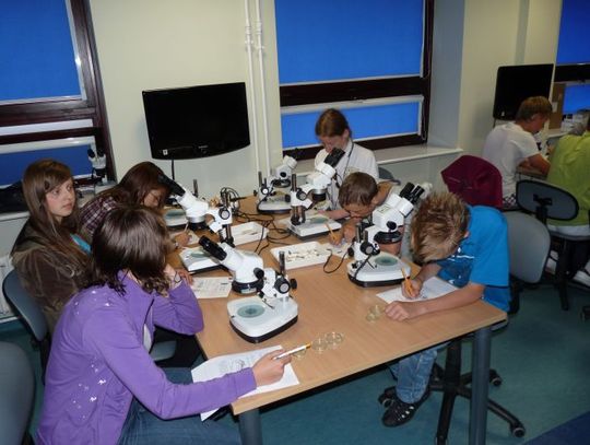 Fauna Bałtyku w powiększeniu