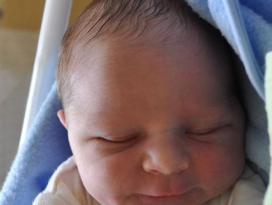 [FOTO] Maluszki - powitajcie nowych mieszkańców