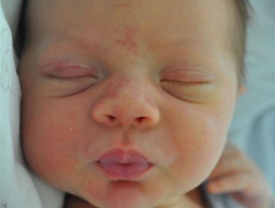 [FOTO] Maluszki - poznaj nowych mieszkańców!