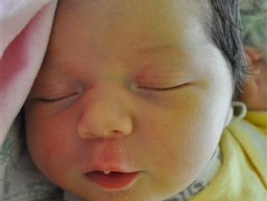 [FOTO] Maluszki - poznaj nowych mieszkańców!