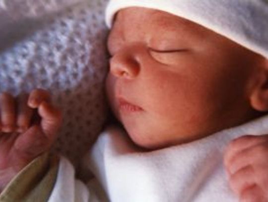 [FOTO] Maluszki - witamy nowych mieszkańców!