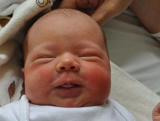 [FOTO] Maluszki - witamy nowych mieszkańców powiatu tczewskiego!