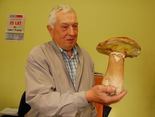   Gigantyczny borowik spod Swarożyna