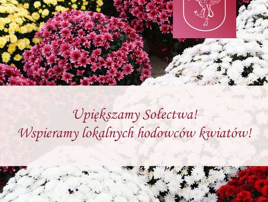 Gmina Tczew wspiera lokalnych hodowców kwiatów