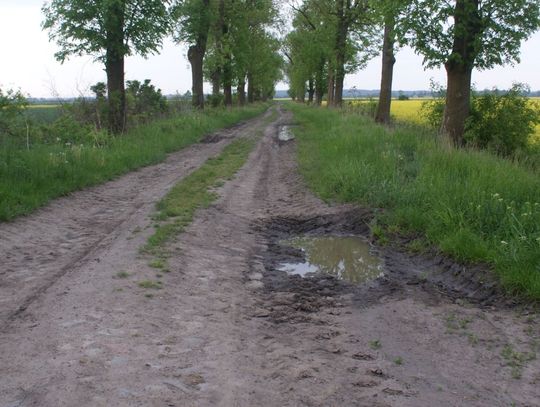 Gmina znalazła sposób na zdemolowane drogi? Pomysł jest, ale głosów przeciw nie brakuje