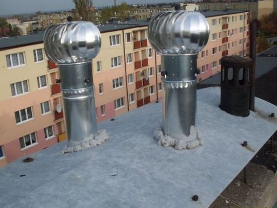 Gniazda ptaków zapychają kominy! Skrzydlaty problem