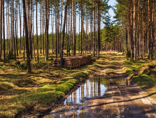 Idealne miejsce na wesele na Kaszubach