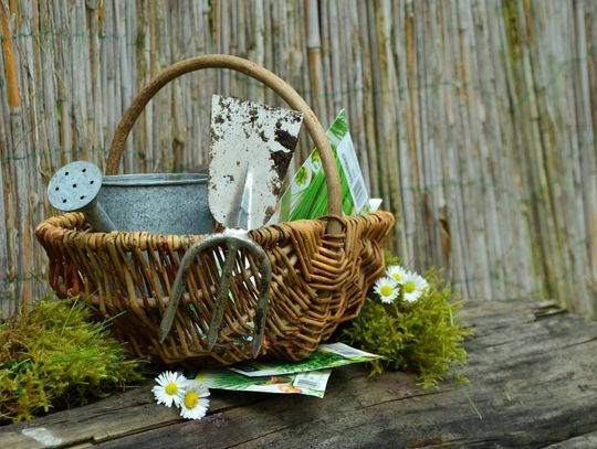 Jak przygotować ogród na wiosnę? Gdzie w Tczewie kupić narzędzia, meble i architekturę ogrodową?