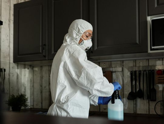 Jak skutecznie pozbyć się pluskiew? Specjaliści z branży DDD udzielają porad