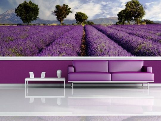 Jaka fototapeta do salonu?