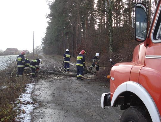 Jakie szkody wyrządził Ksawery?